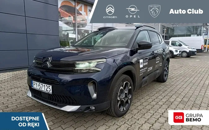 citroen c5 aircross Citroen C5 Aircross cena 125500 przebieg: 9500, rok produkcji 2023 z Kołaczyce